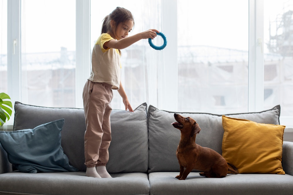 How to Choose the Best Couch for Pets and Kids