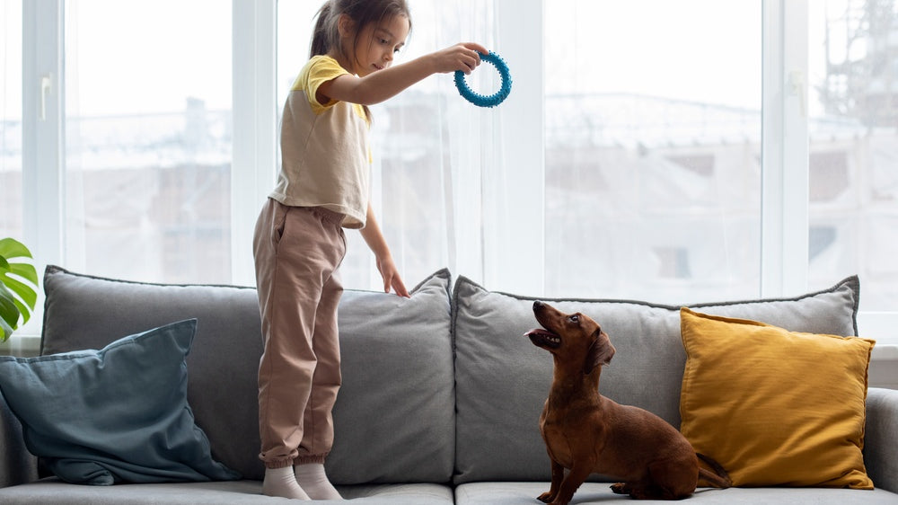 How to Choose the Best Couch for Pets and Kids